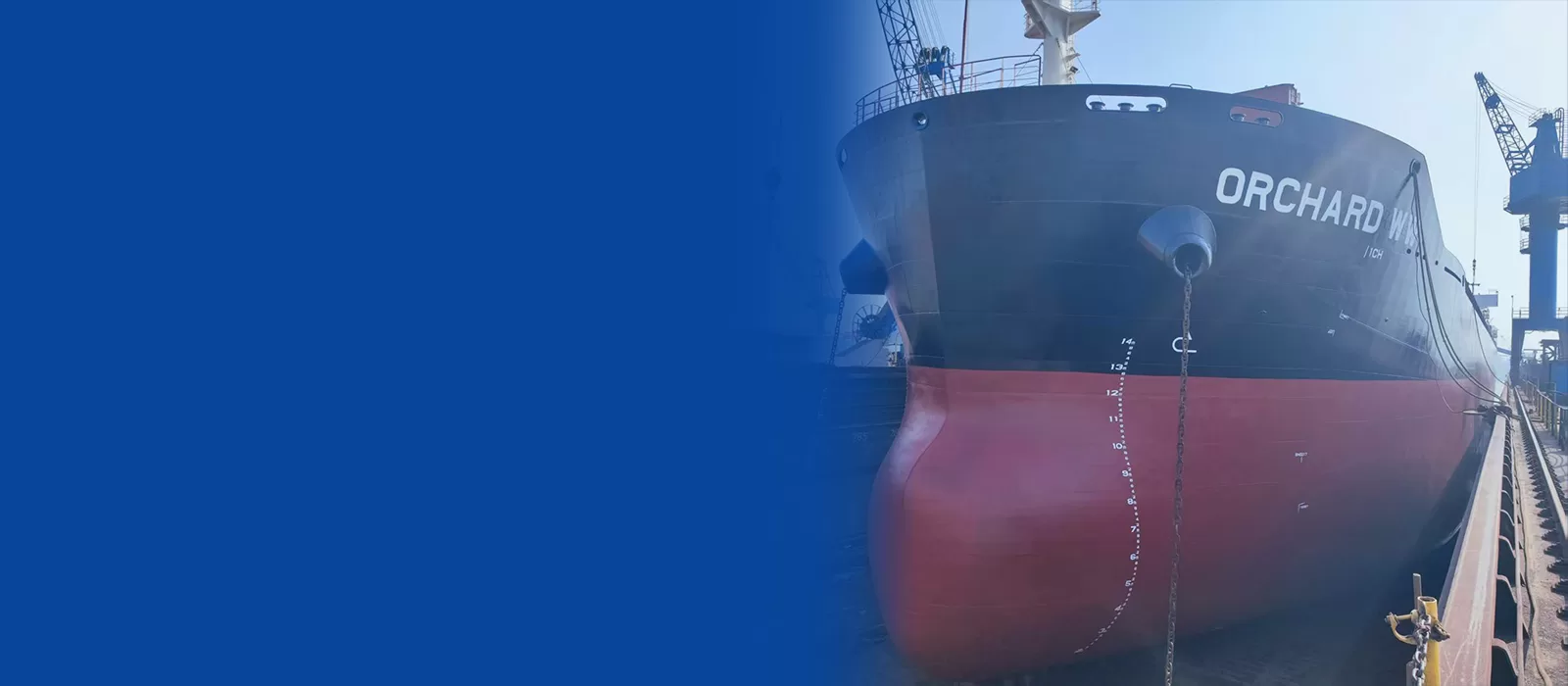 7ae0436b-7710-4d5d-88c6-4206f5aa00c6